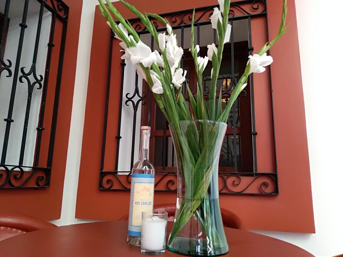 Casa Agave Oaxaca Bed and Breakfast Esterno foto