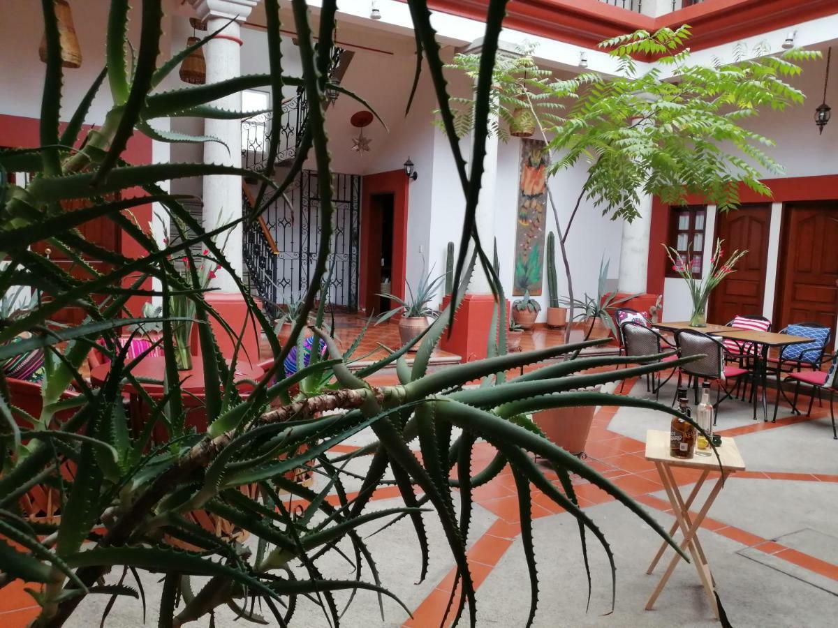 Casa Agave Oaxaca Bed and Breakfast Esterno foto